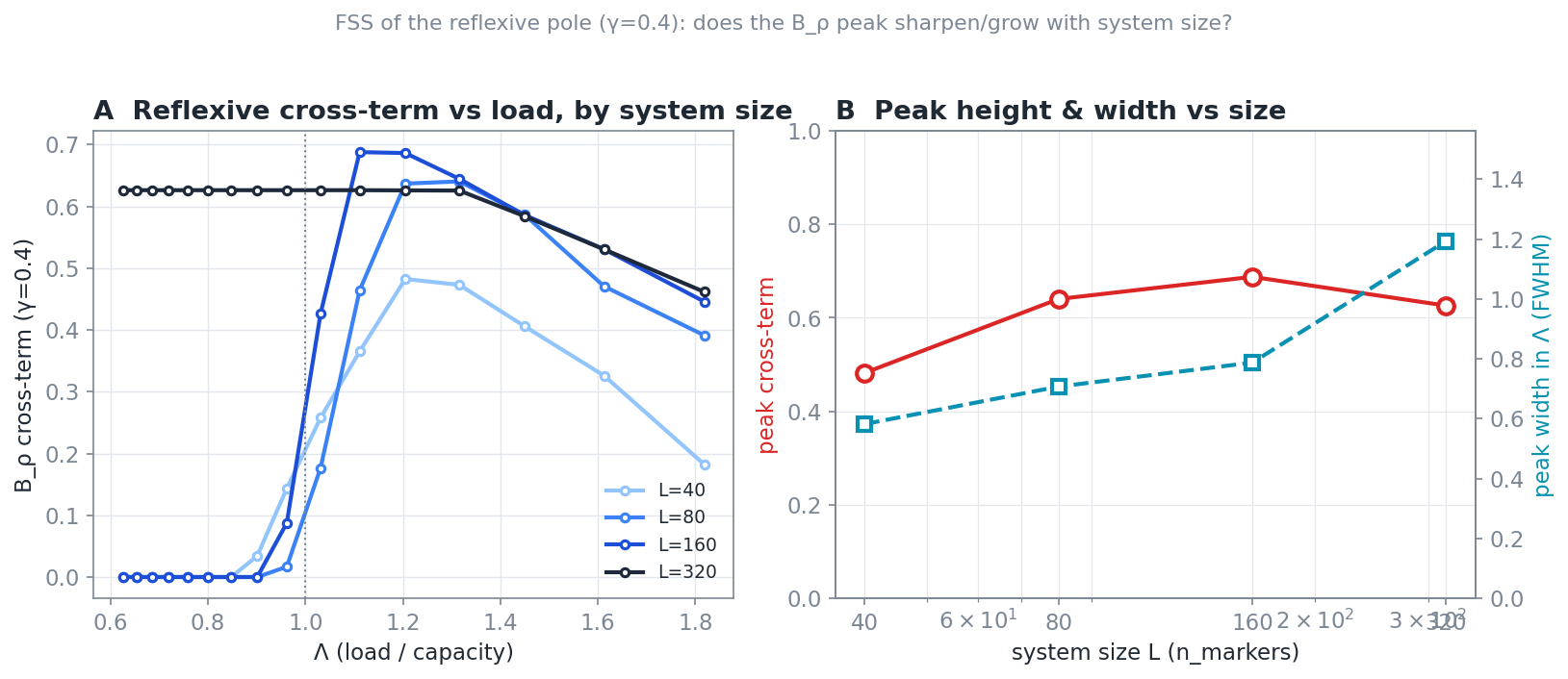 Figure 4. A finite-size onset that sharpens with scale. Above the feasibility boundary the cross-term jumps to its plateau; the sharpening onset is the signature of a genuine threshold.