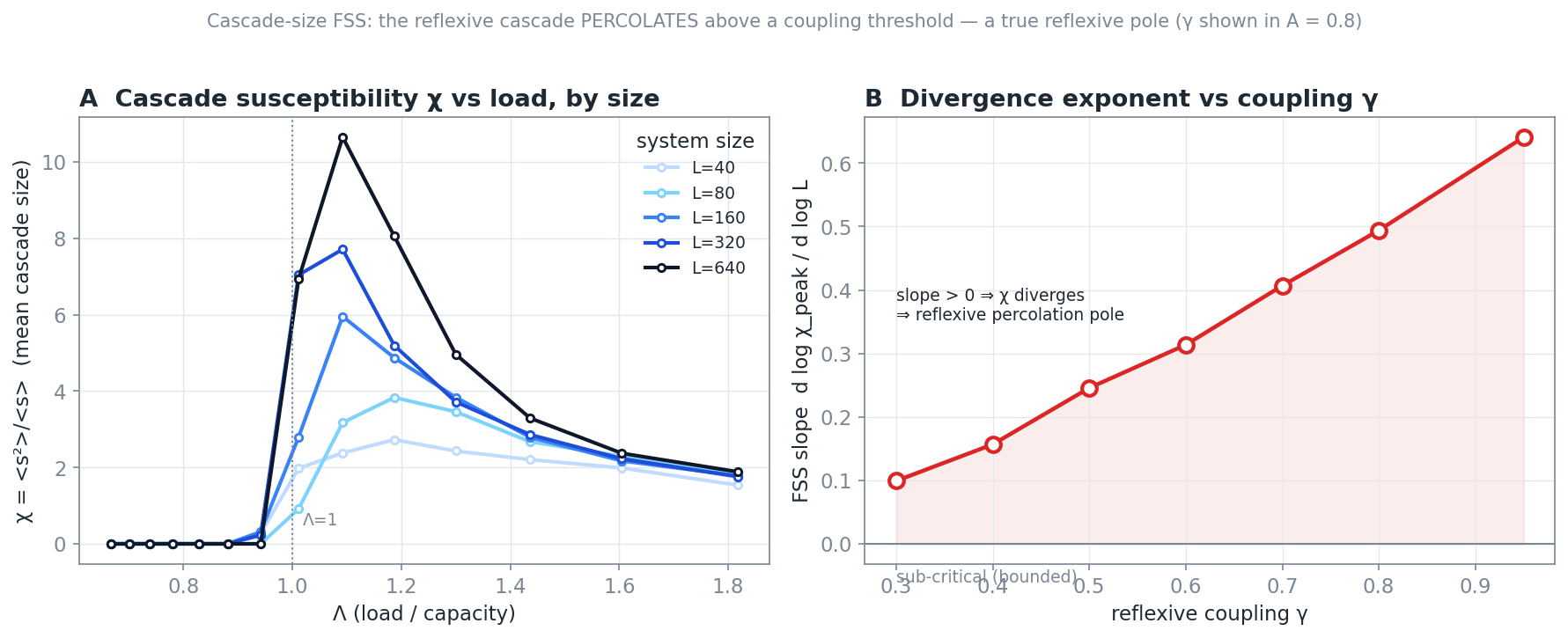 Figure 5. The reflexive pole. Cascade susceptibility grows with system size at the boundary, and the divergence exponent rises smoothly with the coupling.